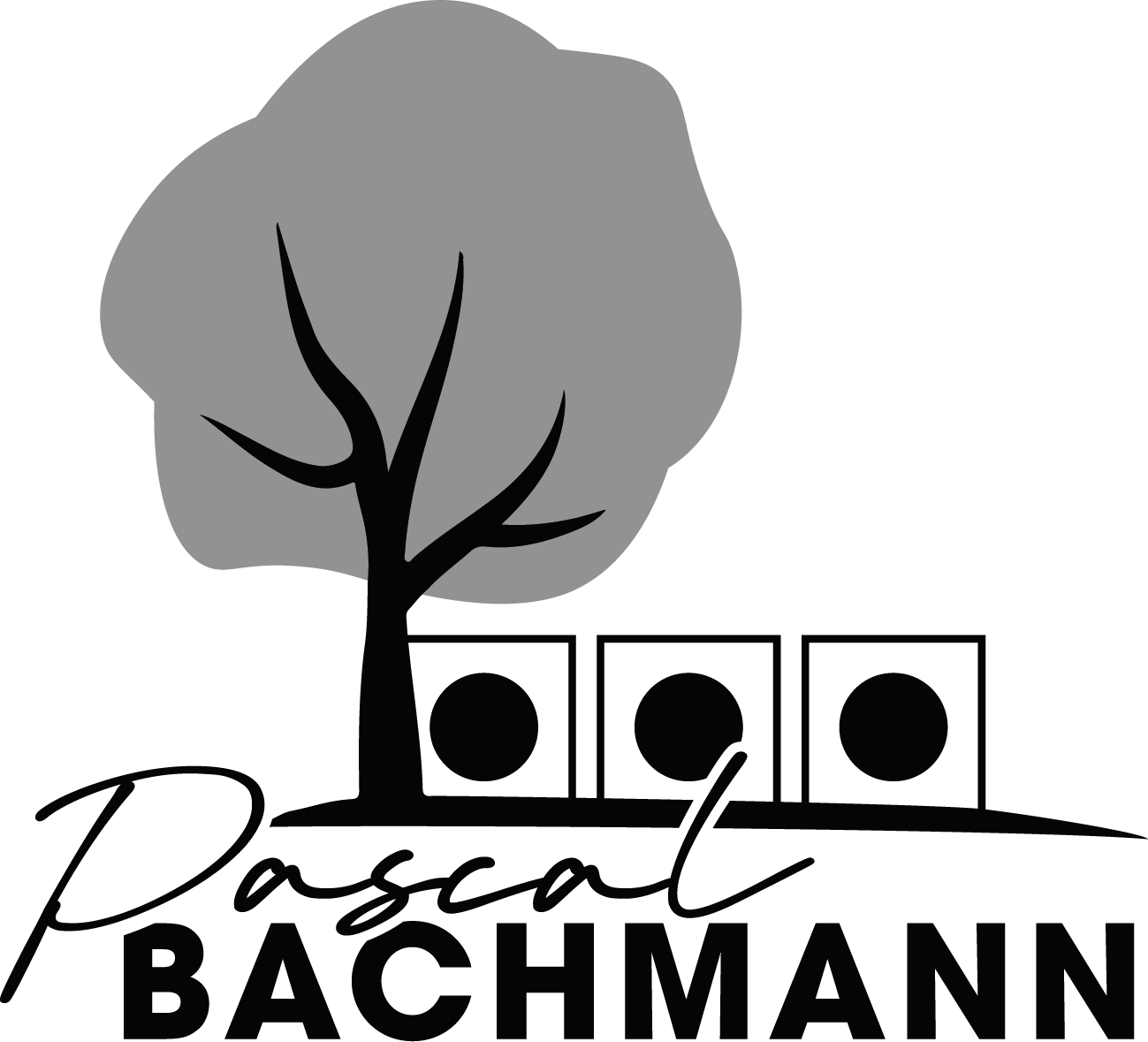 Pascal Bachmann